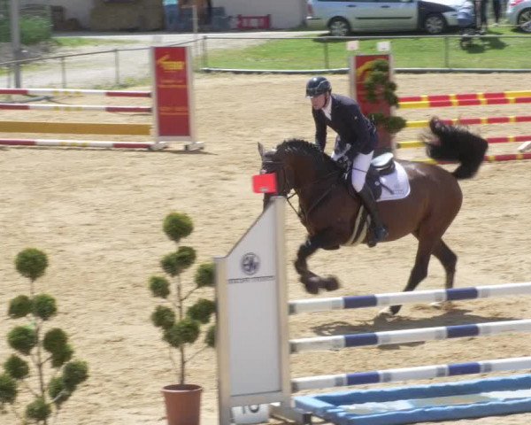 Reitturnier Zoltingen/Schw. 2021