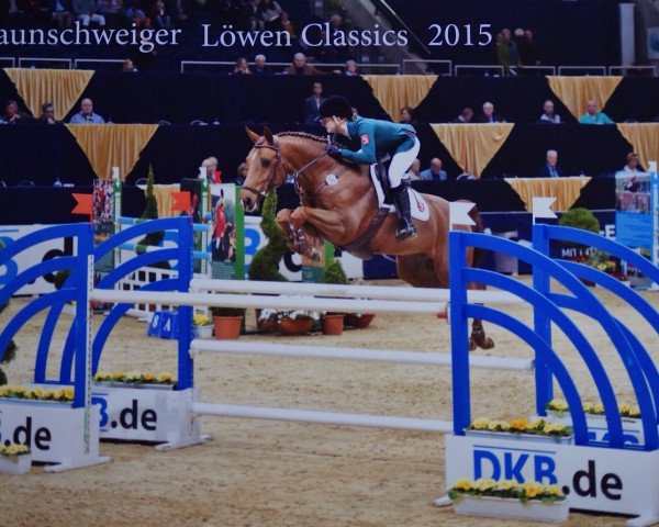 jumper Conquistador 33 (Lithuanians Warmblood, 2006, from Contendro-Star)