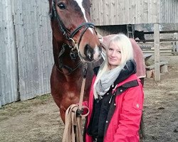 dressage horse Lacross 17 (Thuringia, 2000, from Liberty Son)