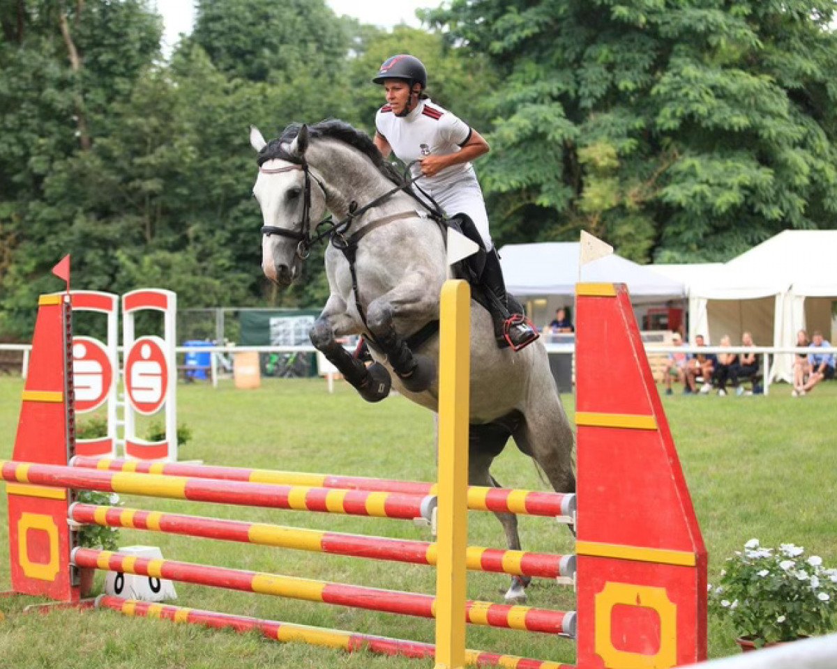 broodmare Centopia Z (Zangersheide riding horse, 2017, from Cicero Z van Paemel)