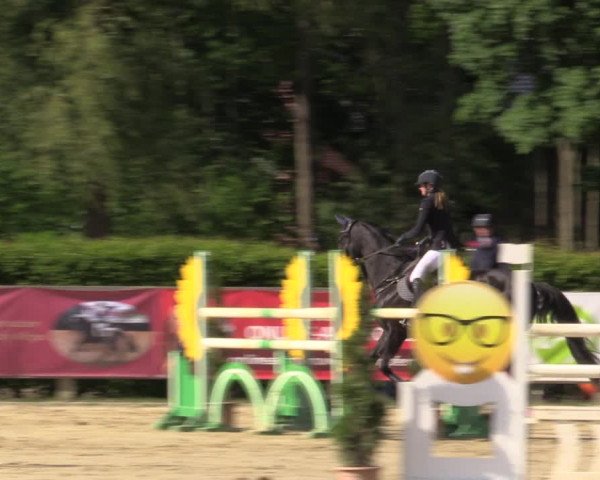 Reitturnier Münster-Handorf 2021