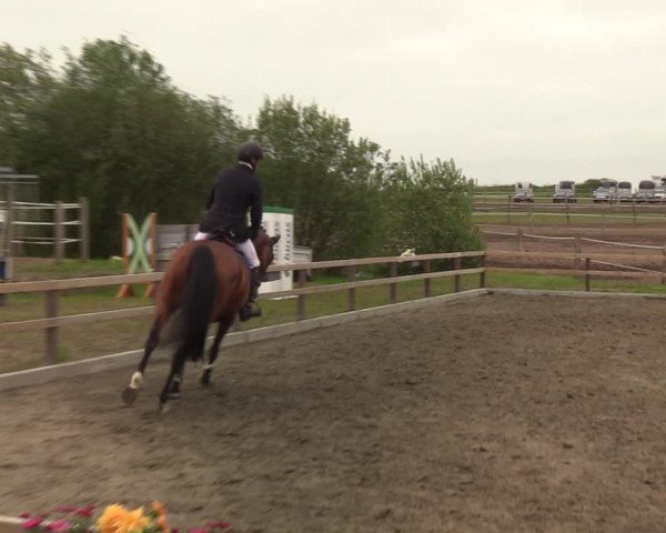 Reitturnier Kleinsolt 2021