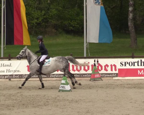 Reitturnier Westergellersen 2021