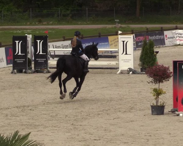 Reitturnier Westergellersen 2021