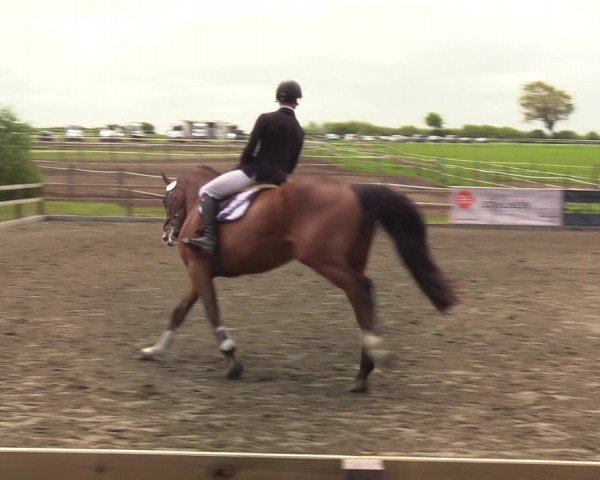 Reitturnier Kleinsolt 2021