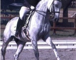 broodmare Faszination H (Hanoverian, 1998, from Fabriano)