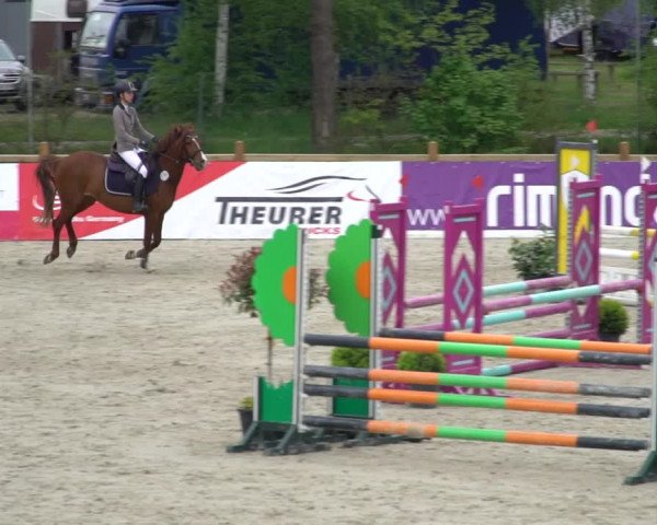 Reitturnier Westergellersen 2021