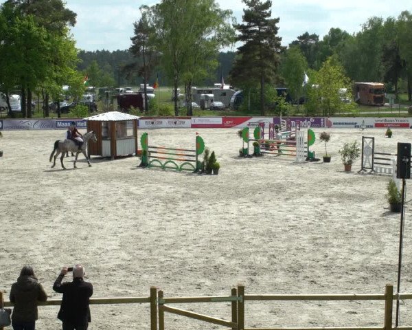 Reitturnier Westergellersen 2021