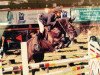 jumper Carrowmac Diamond (Irish Sport Horse, 2003, from Clover Valley)