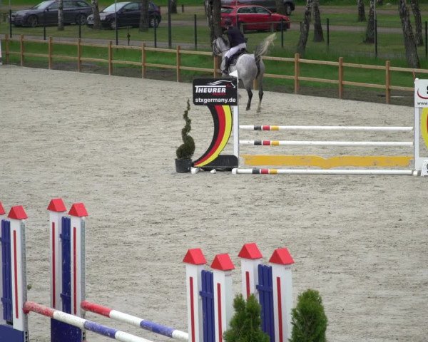 Reitturnier Westergellersen 2021