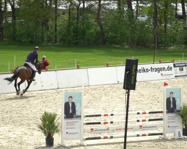 Reitturnier Westergellersen 2021