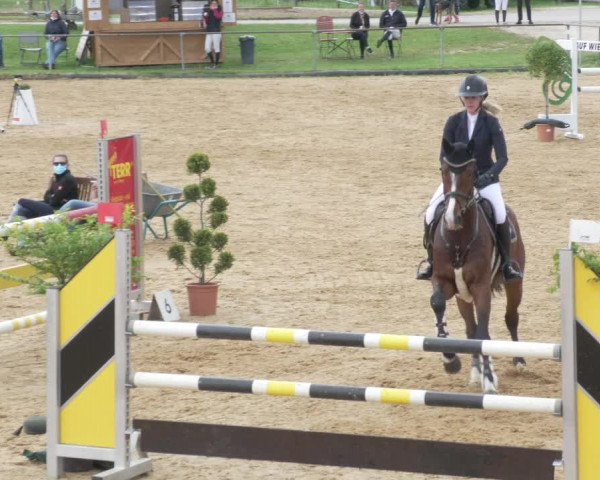 Reitturnier Zoltingen/Schw. 2021