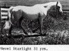stallion Revel Starlight (Welsh mountain pony (SEK.A), 1947, from Mathrafal Tuppence)