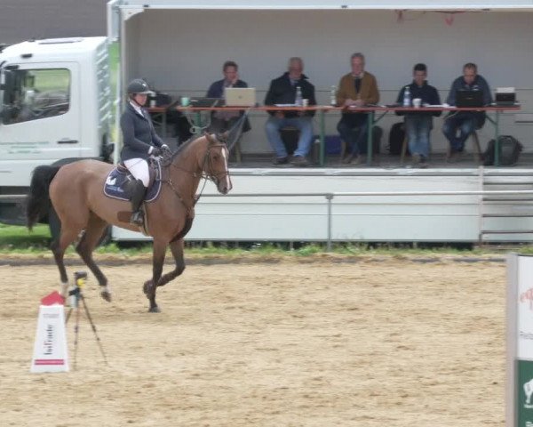 Reitturnier Zoltingen/Schw. 2021
