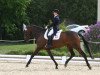 dressage horse Unita MB CH (Swiss Warmblood, 2003, from Big Cavallieri xx)