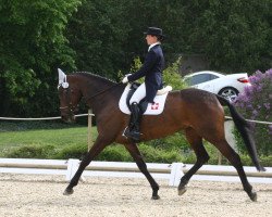 dressage horse Unita MB CH (Swiss Warmblood, 2003, from Big Cavallieri xx)