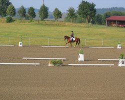 Zuchtstute La chica Bonita (Württemberger,  , von Lenys Lemon)