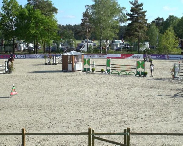 Reitturnier Westergellersen 2021