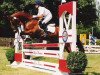 Pferd Equus Charly Brown (Welsh Pony (Sek.B), 1991, von Tetworth Crimson Lake)