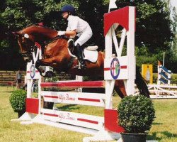 horse Equus Charly Brown (Welsh-Pony (Section B), 1991, from Tetworth Crimson Lake)