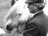 stallion Coed Coch Ninian (Welsh-Pony (Section B), 1968, from Coed Coch Berwynfa)