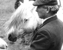 Deckhengst Coed Coch Ninian (Welsh Pony (Sek.B), 1968, von Coed Coch Berwynfa)