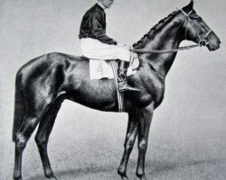 stallion Lighthouse II xx (Thoroughbred, 1937, from Pharos xx)