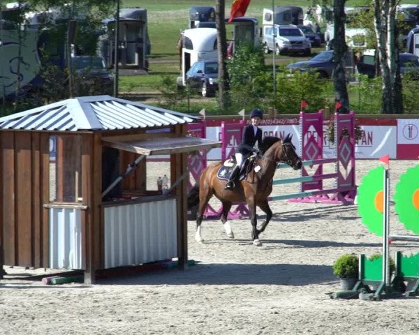 Reitturnier Westergellersen 2021