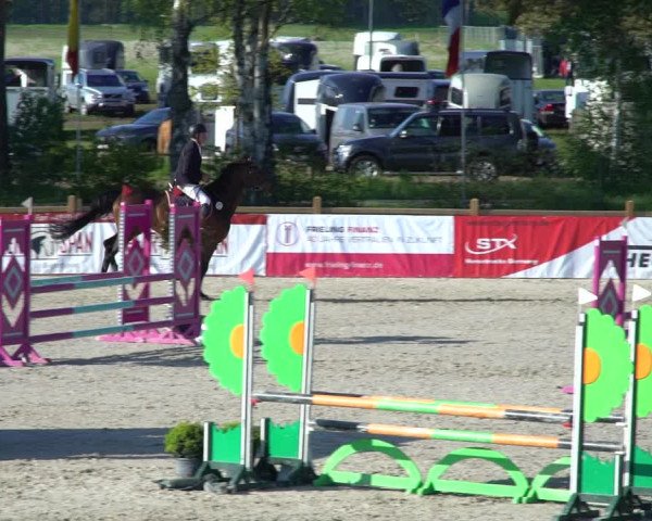 Reitturnier Westergellersen 2021