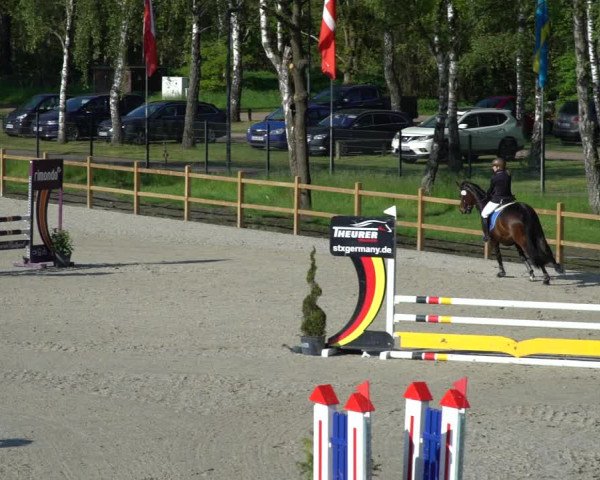 Reitturnier Westergellersen 2021