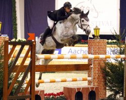 jumper Cordinos (Oldenburg show jumper, 2004, from Cordalme Z)