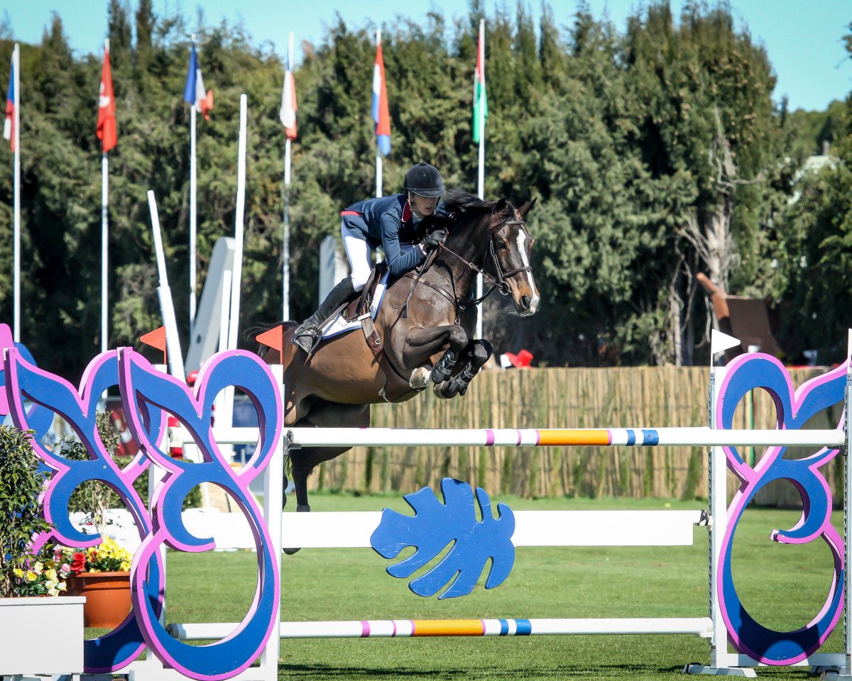 Zuchtstute Carola Bh (KWPN (Niederländisches Warmblut), 2007, von Dutch Capitol)