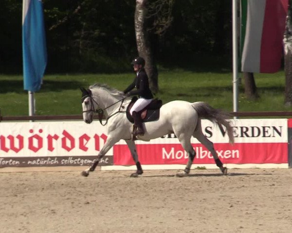 Reitturnier Westergellersen 2021