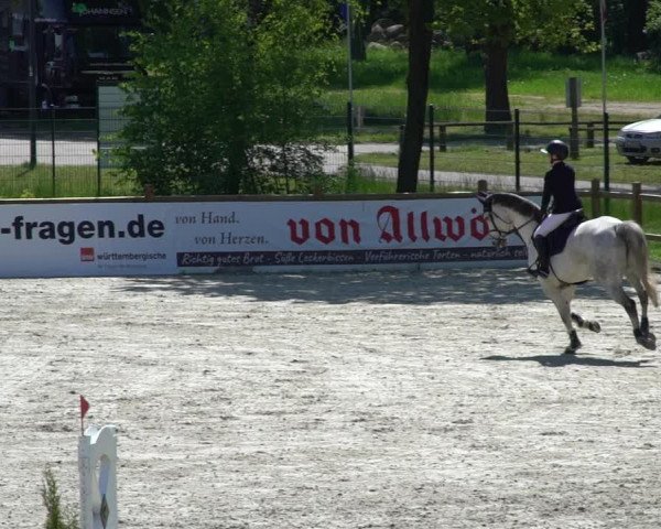 Reitturnier Westergellersen 2021
