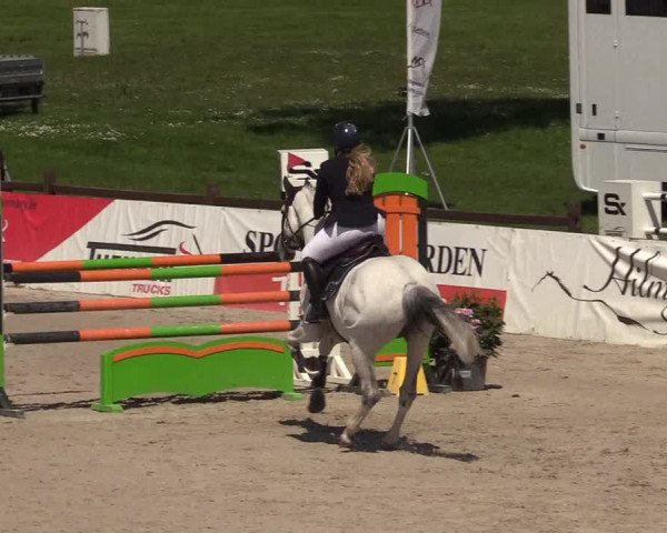 Reitturnier Westergellersen 2021