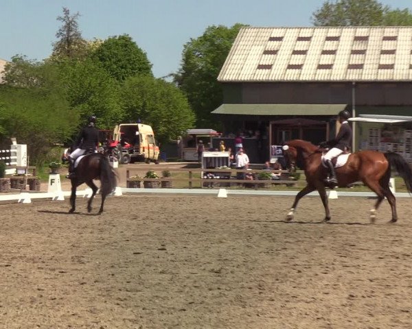 Reitturnier Kleinsolt 2021