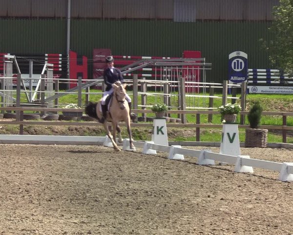 Reitturnier Kleinsolt 2021