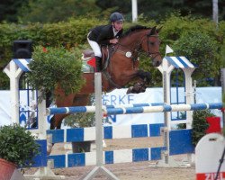 jumper Nordstern 105 (German Riding Pony, 2006, from Heidbergs Nancho Nova)