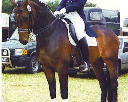 Pferd Chagall Bonair (Westfale, 1990, von Cavalier)