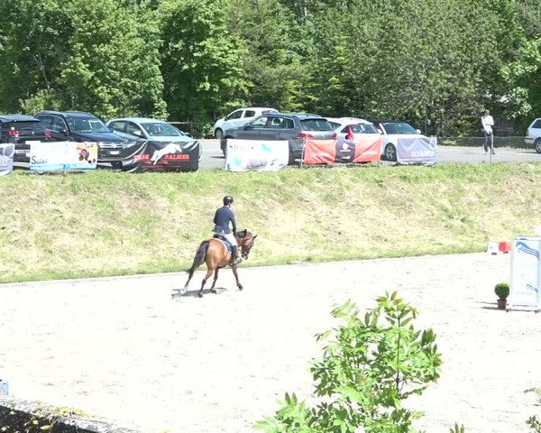 Reitturnier Schaffhausen 2021