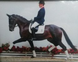 dressage horse Deria MH (Oldenburg, 2008, from Dayano)