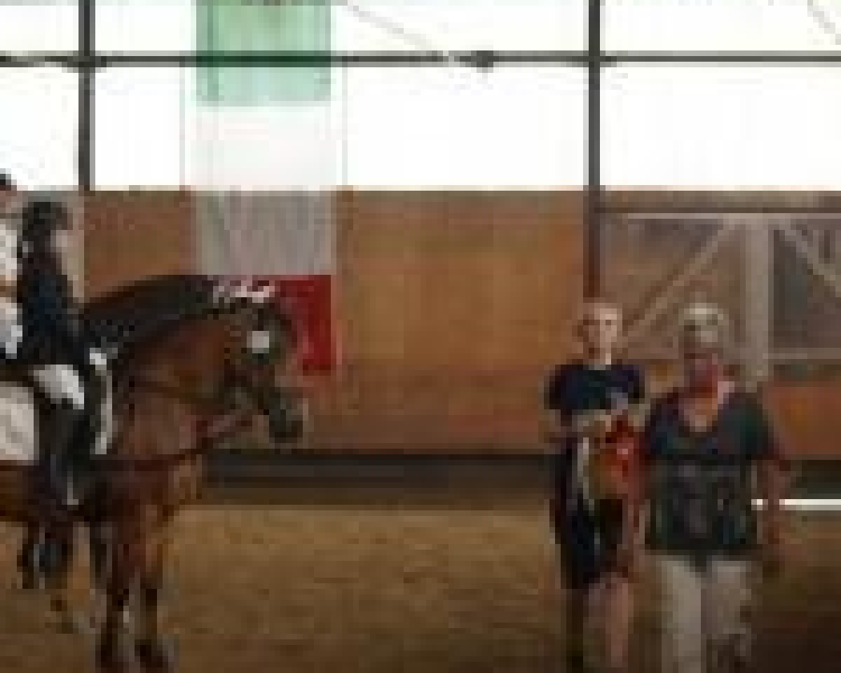 dressage horse Merlin 758 (German Warmblood, 1996, from Unbekannt)