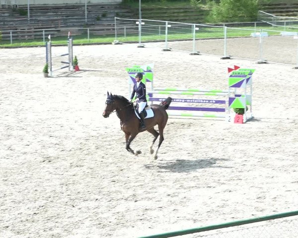 Reitturnier Schaffhausen 2021