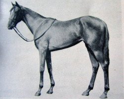 broodmare Weighbridge xx (Thoroughbred, 1945, from Portlaw xx)