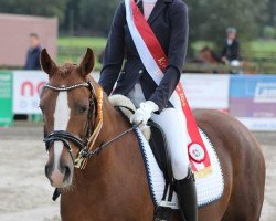 broodmare Vanjalie (German Riding Pony, 2009, from Van Heinrich)