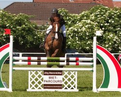 jumper Sandro Ass PJ (Hanoverian, 2005, from Stolzenberg)