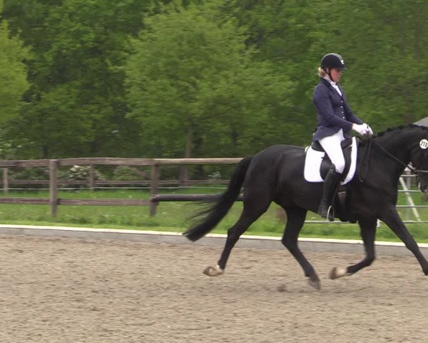 Reitturnier Schwanewede 2021