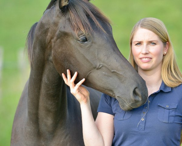 Dressurpferd Bretton´s Lady (Westfale, 2012, von Bretton Woods)