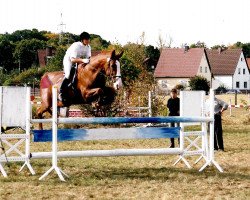 Pferd D'Unette (Deutsches Sportpferd, 1989, von Donnerberg)