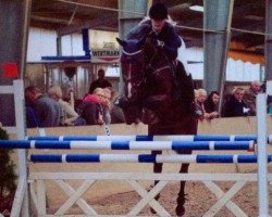 jumper Charina (Hanoverian, 2002, from Charon)